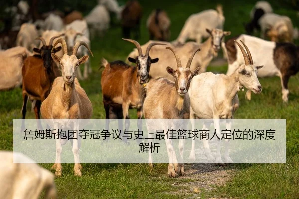 詹姆斯抱团夺冠争议与史上最佳篮球商人定位的深度解析